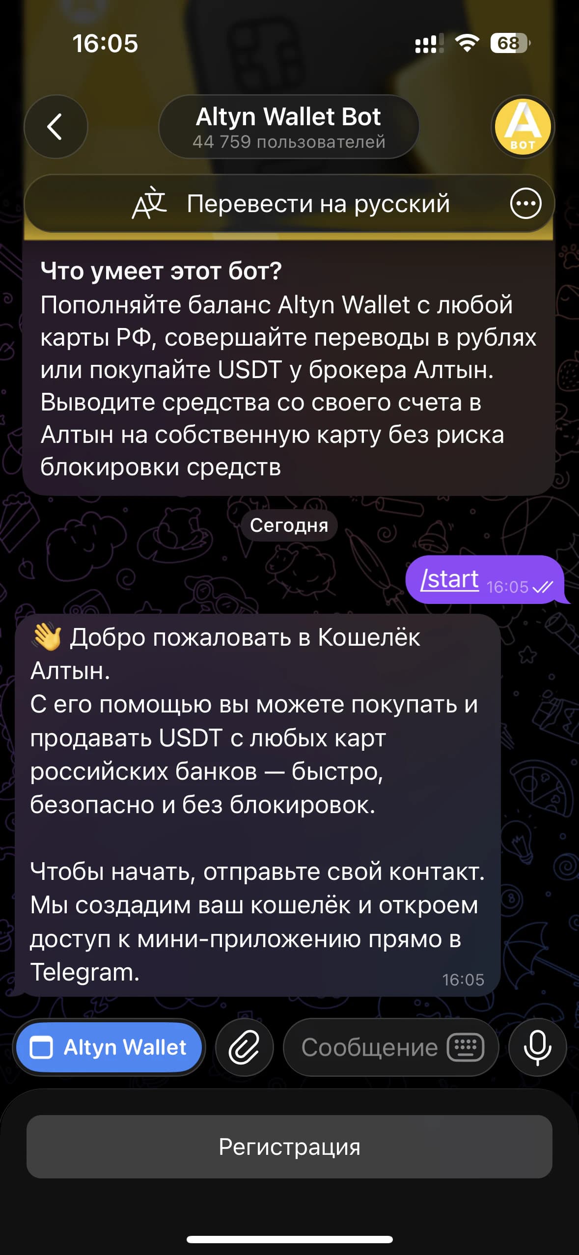 Приветствие бота и кнопка «Регистрация» внизу чата