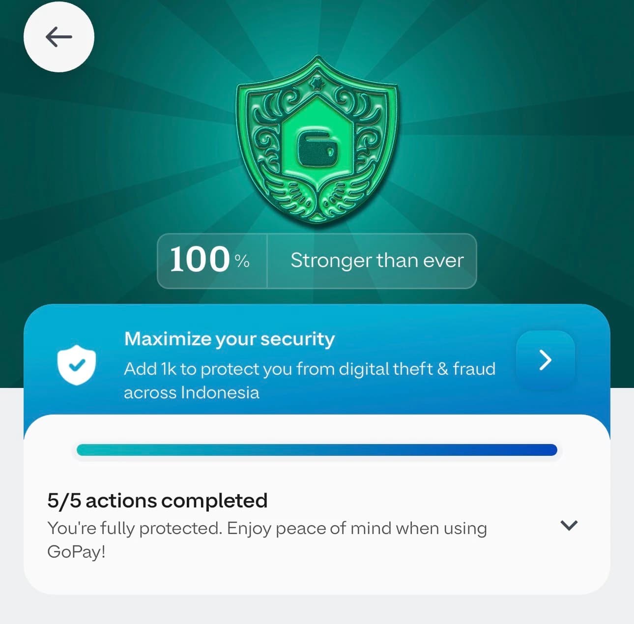 Экран защиты GoPay: 100%, выполнено 5 из 5 действий